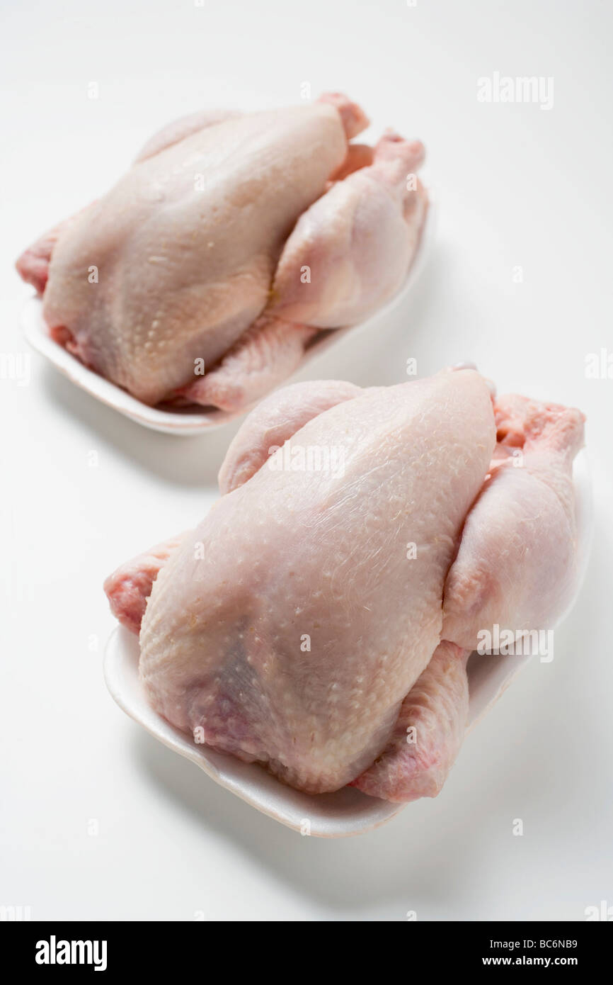 Two fresh chickens on polystyrene trays - Stock Photo