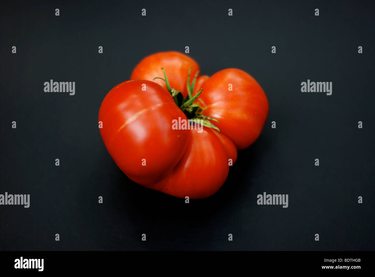 Super Fantastic, home grown tomato Stock Photo