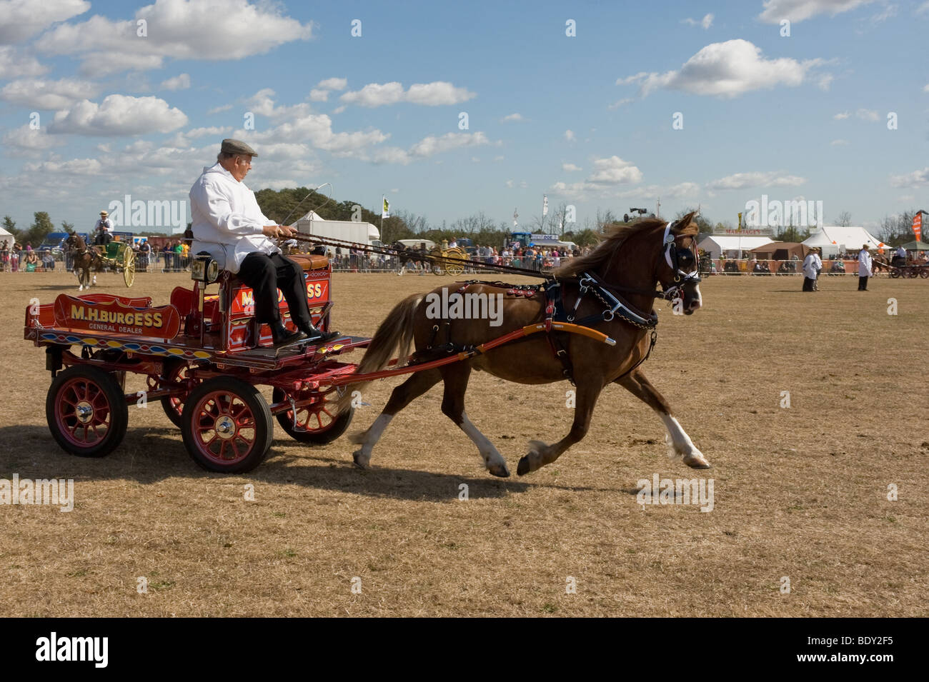 A horse pulling a small decorated cart at a country show in Essex. Stock Photo