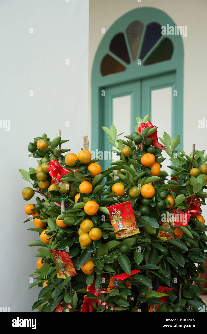 Chinese New Year decoration with oranges Stock Photo