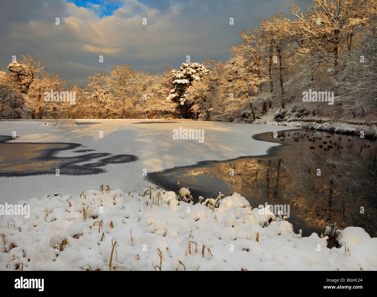 Keston Ponds winter scene. Stock Photo