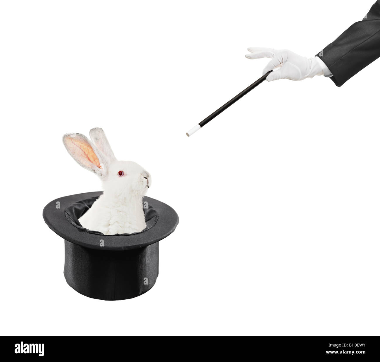 Rabbit in a hat with and a hand with a magic wand isolated on white background Stock Photo