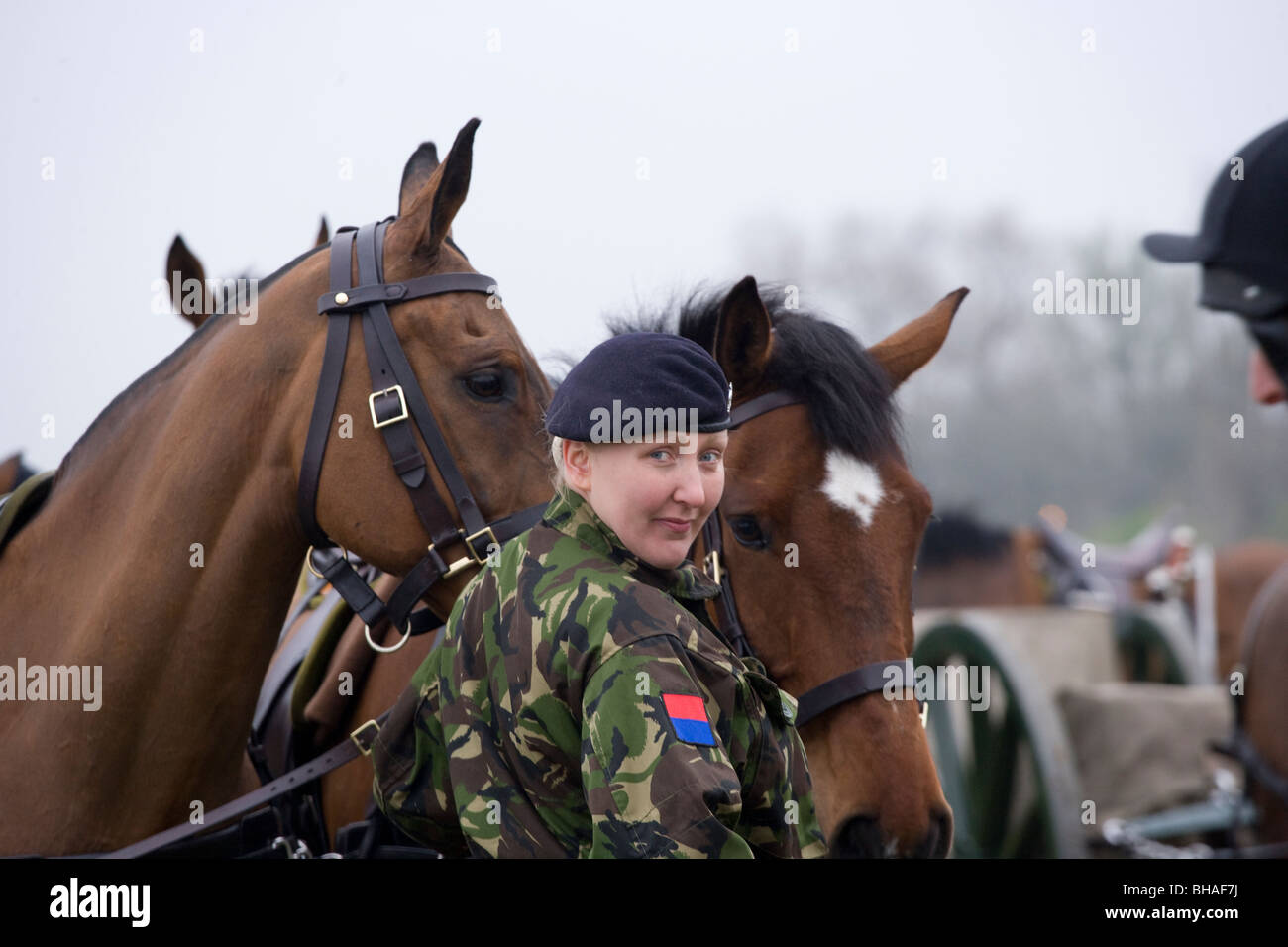 King's Troop Royal Horse Artillery England army Stock Photo