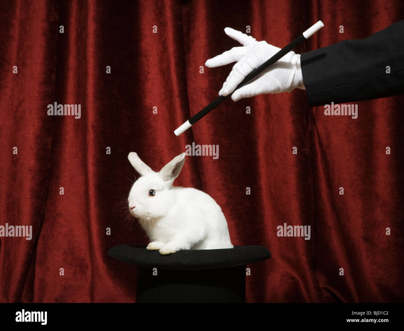 Magician pulling a rabbit out of a hat Stock Photo