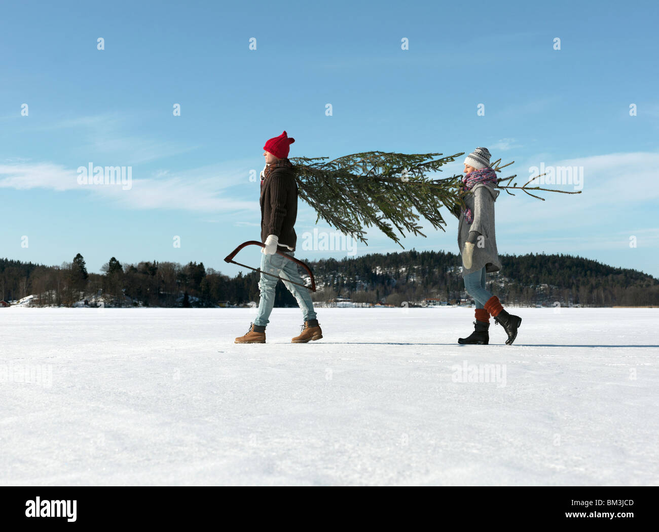 Couple with christmas tree Stock Photo