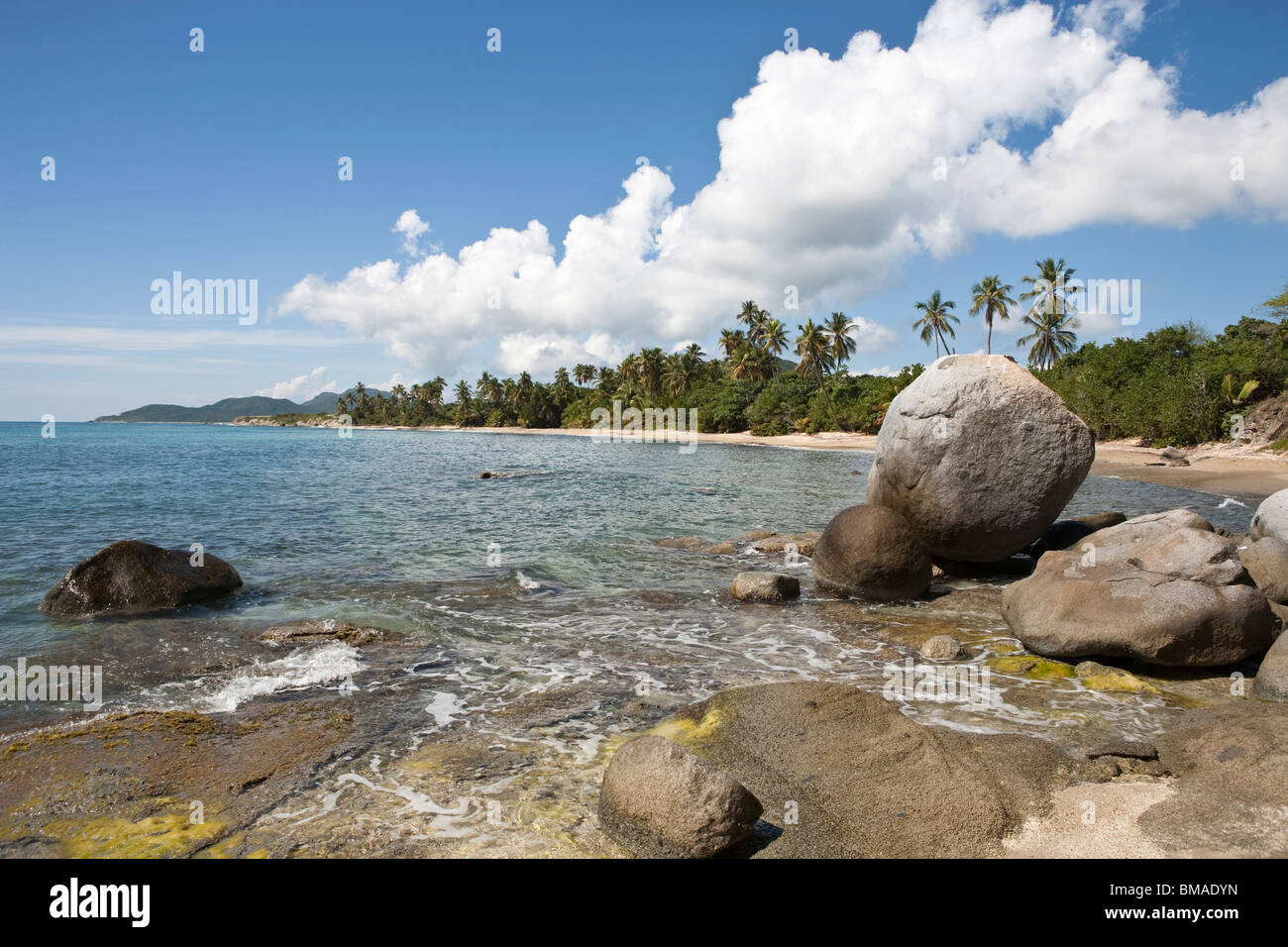 Beach, Vieques, Puerto Rico Stock Photo