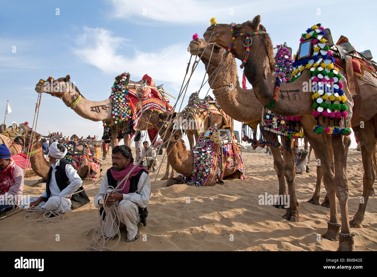 Camels decorated with traditional costumes. Sam Sand Dunes National Park. Near Jaisalmer. India Stock Photo