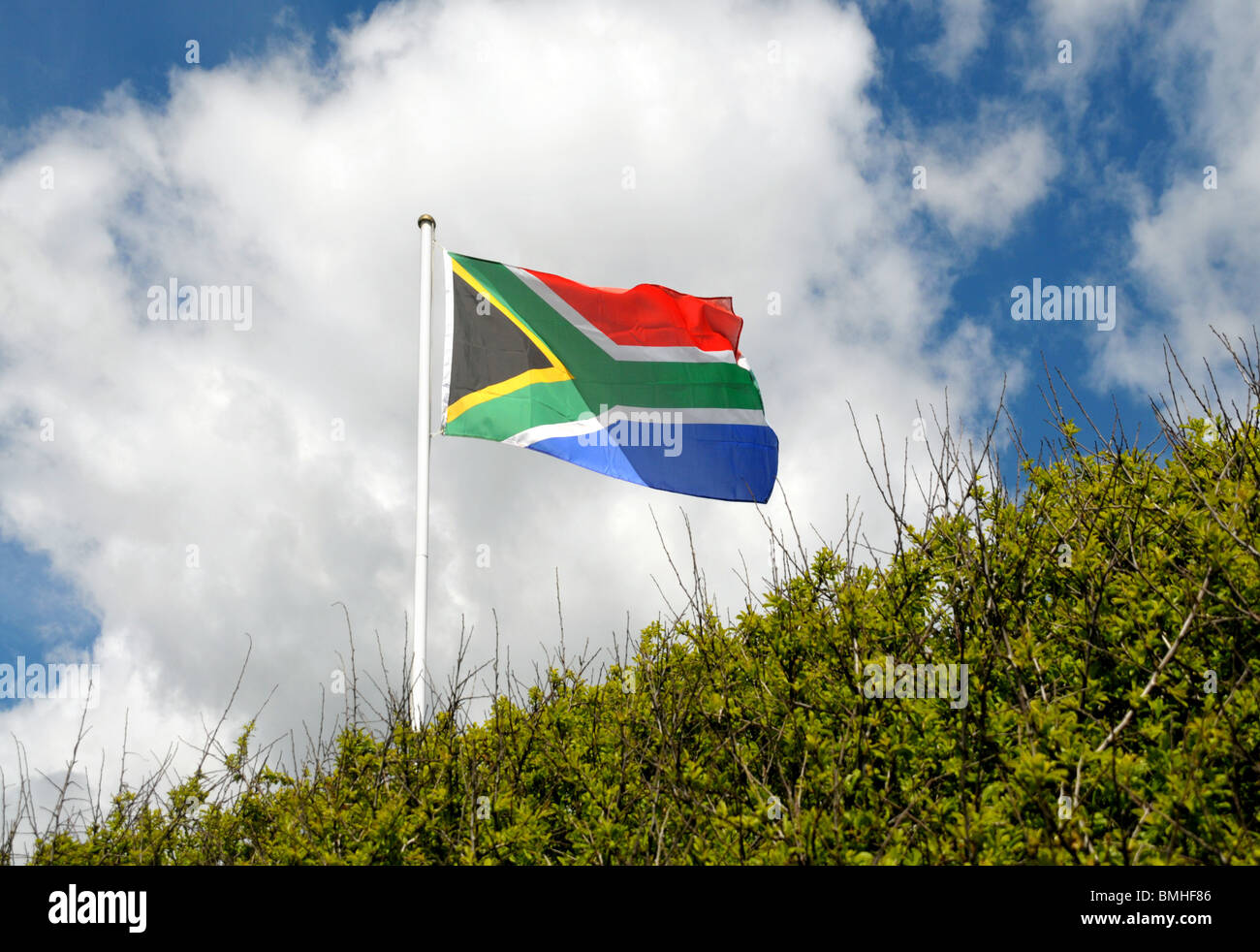 A South African flag flies on a mast behind a garden hedge. Stock Photo