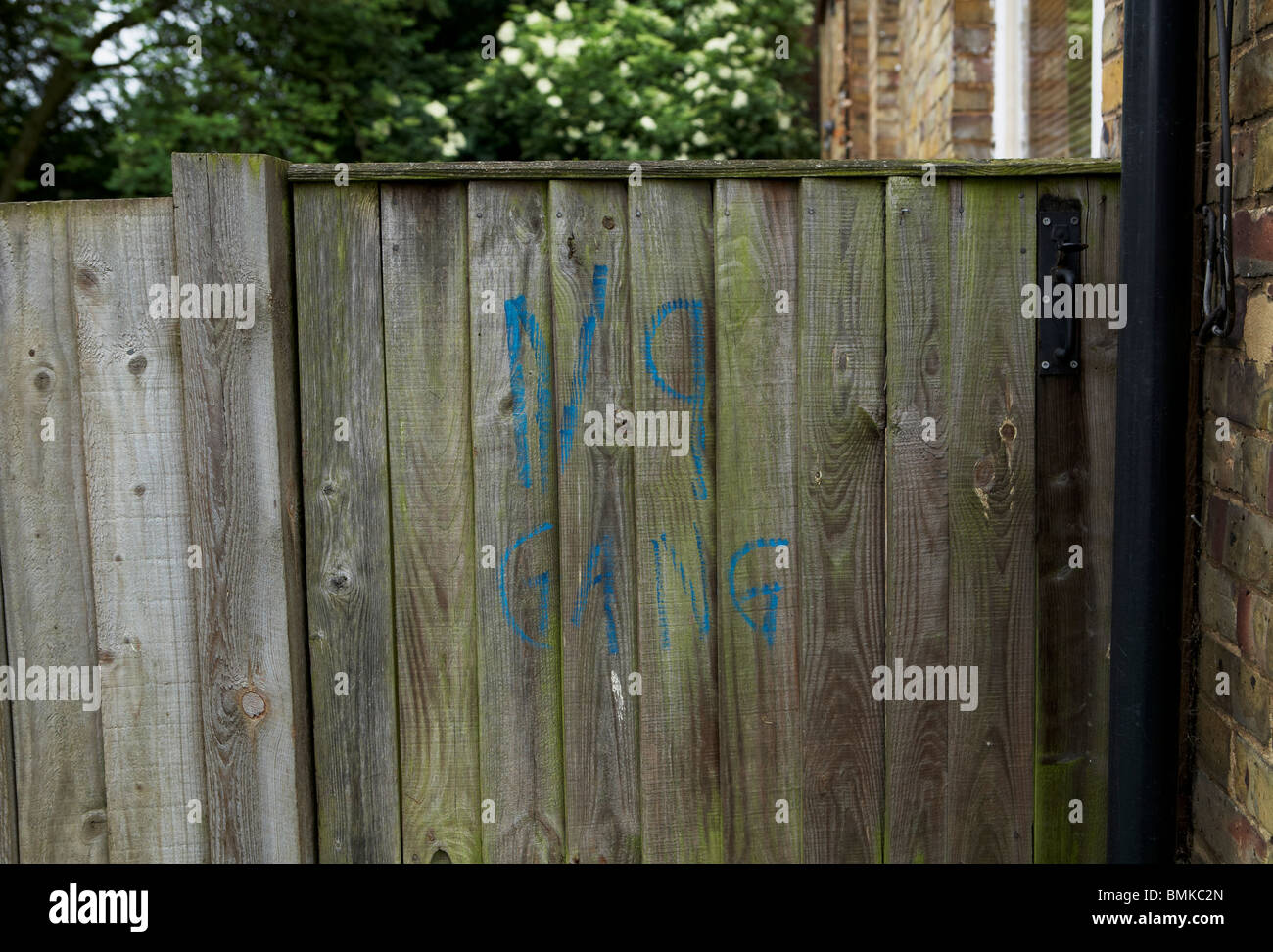 Gang graffiti in noth London Stock Photo