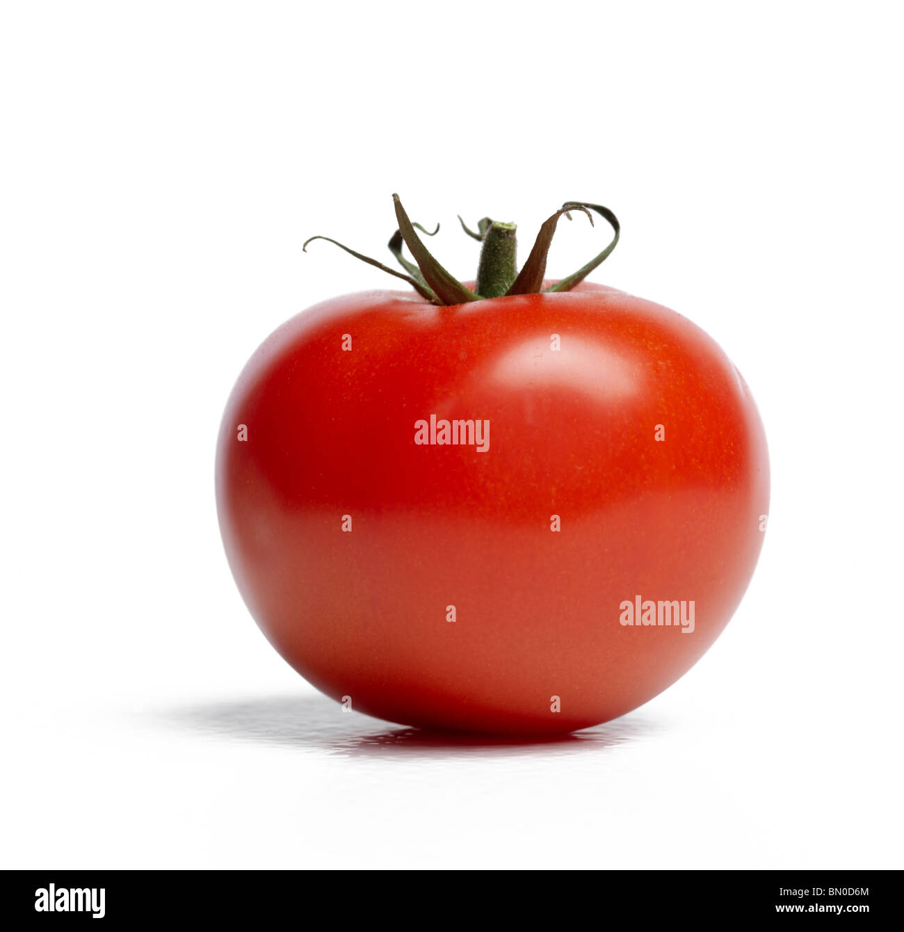 tomato Stock Photo