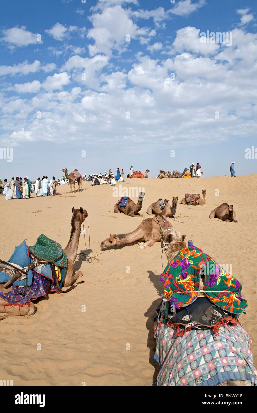 Camels and people at Sam Sand Dunes. Near Jaisalmer. Rajasthan. India Stock Photo