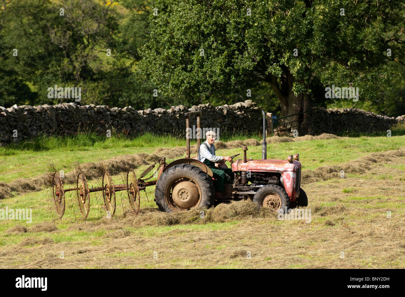 Farmer rowing up hay with an old Fergie tractor and acrobat. Stock Photo