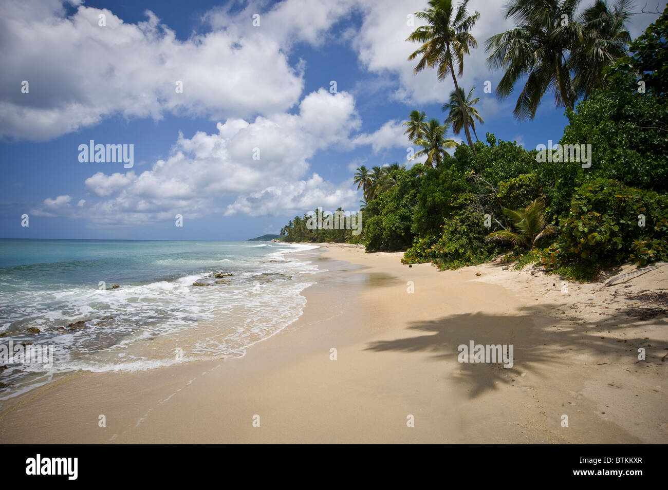 Surf, Waves & Sand On Isolated Deserted Beach, Vieques Puerto Rico Stock Photo