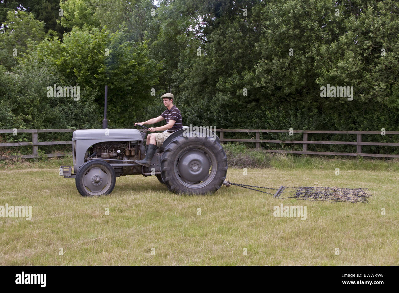 Old grey fergie pulling chain harrow Stock Photo