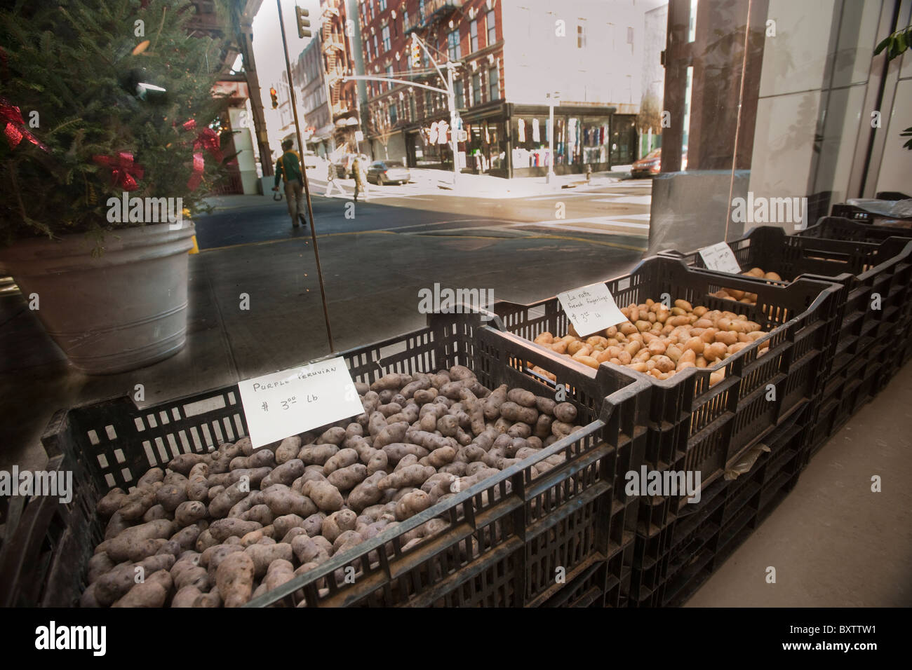 Potatoes in La Marqueta in the Spanish Harlem neighborhood of New York Stock Photo