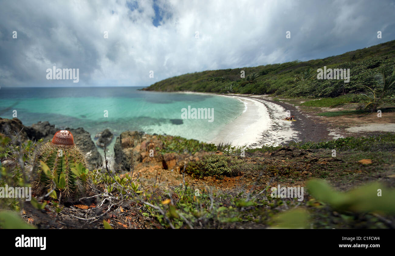 laeconida beach, vieques, puerto rico Stock Photo