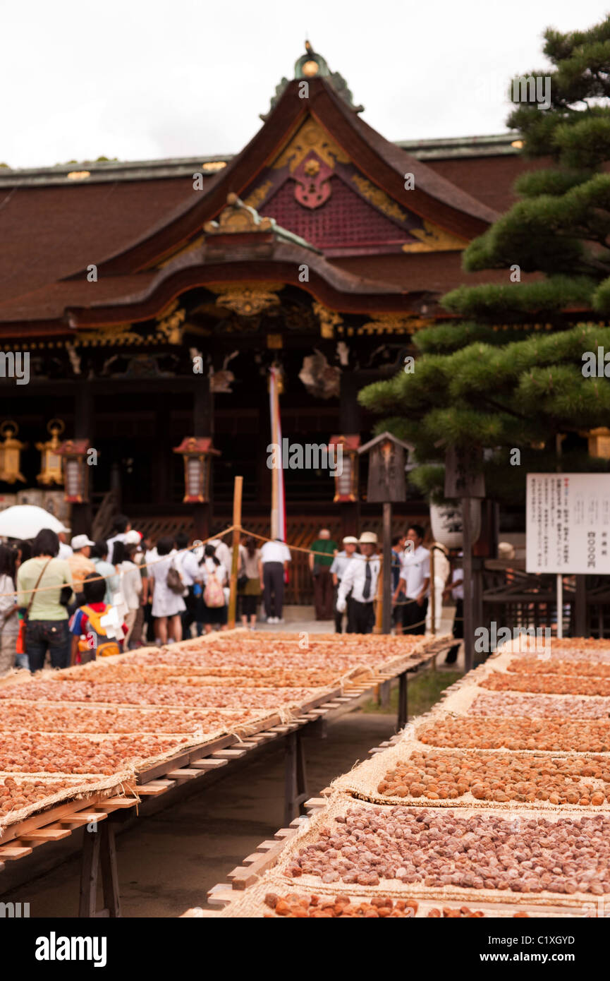 Drying ume plums outside the Kitano Tenman-gū Shrine in Kyoto. Stock Photo