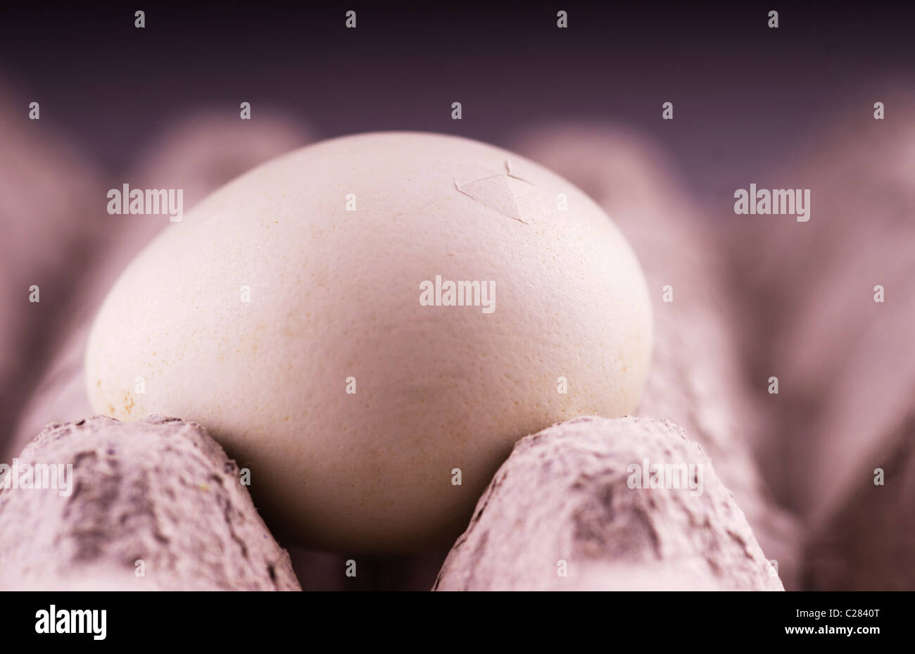 chick hatching out of egg Stock Photo