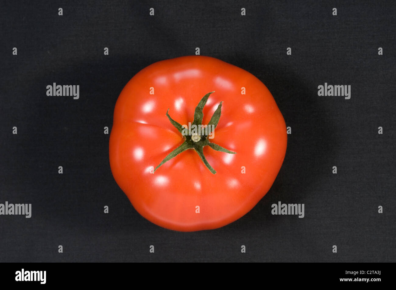 Tomato Stock Photo