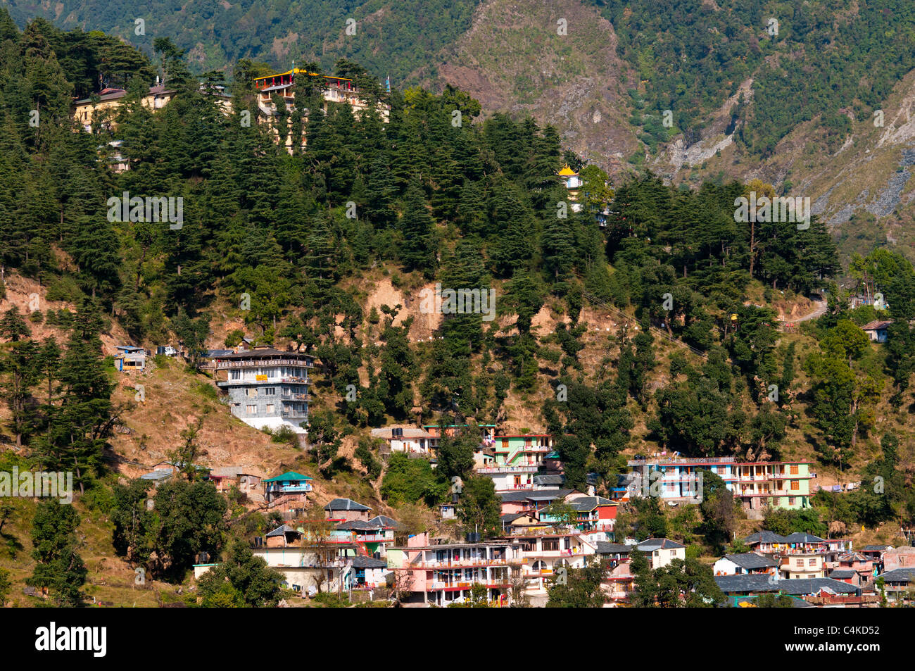 McLeod Ganj, Upper Dharamsala, Himachal Pradesh, India, Asia Stock Photo