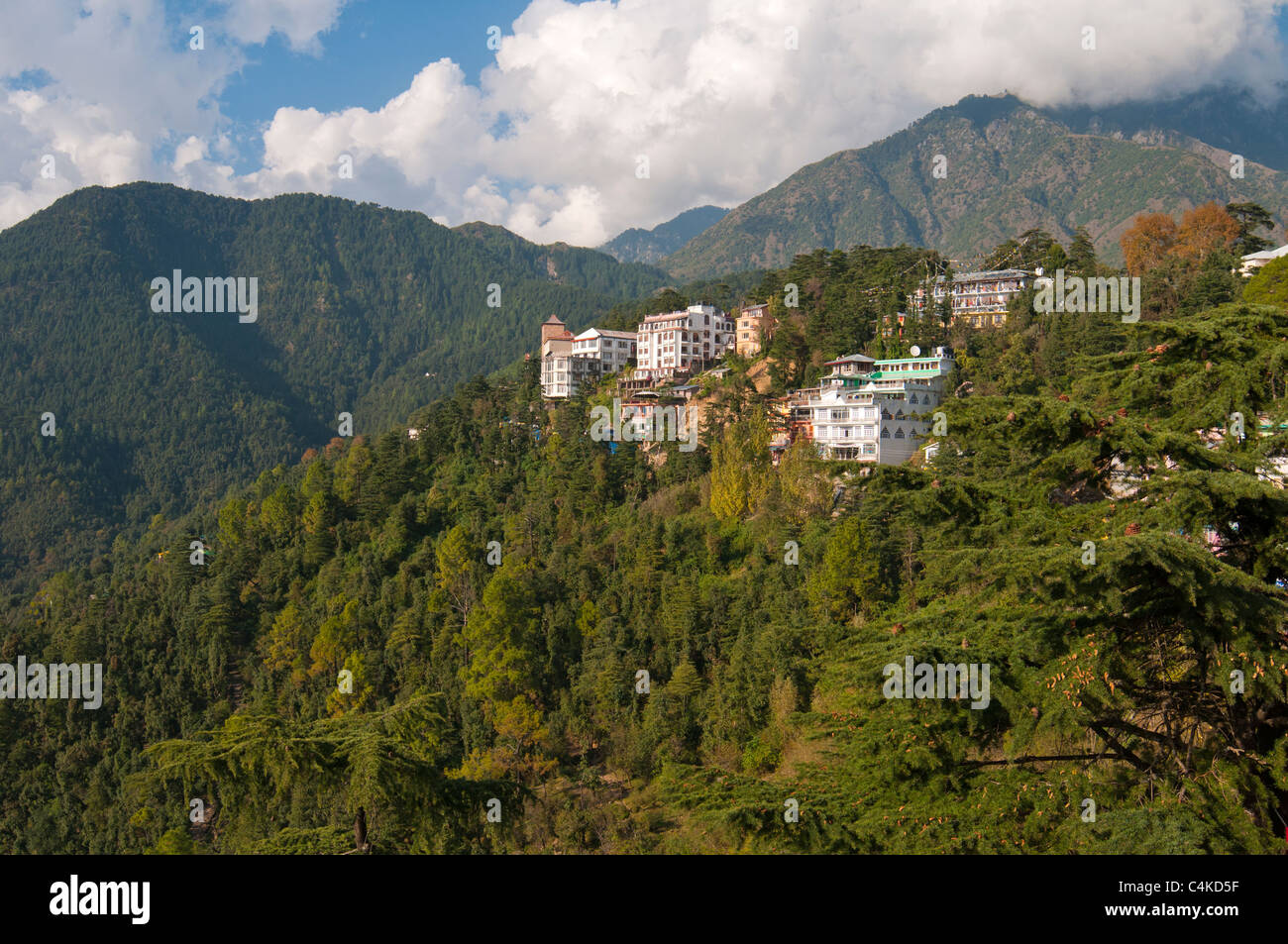 McLeod Ganj, Upper Dharamsala, Himachal Pradesh, India, Asia Stock Photo