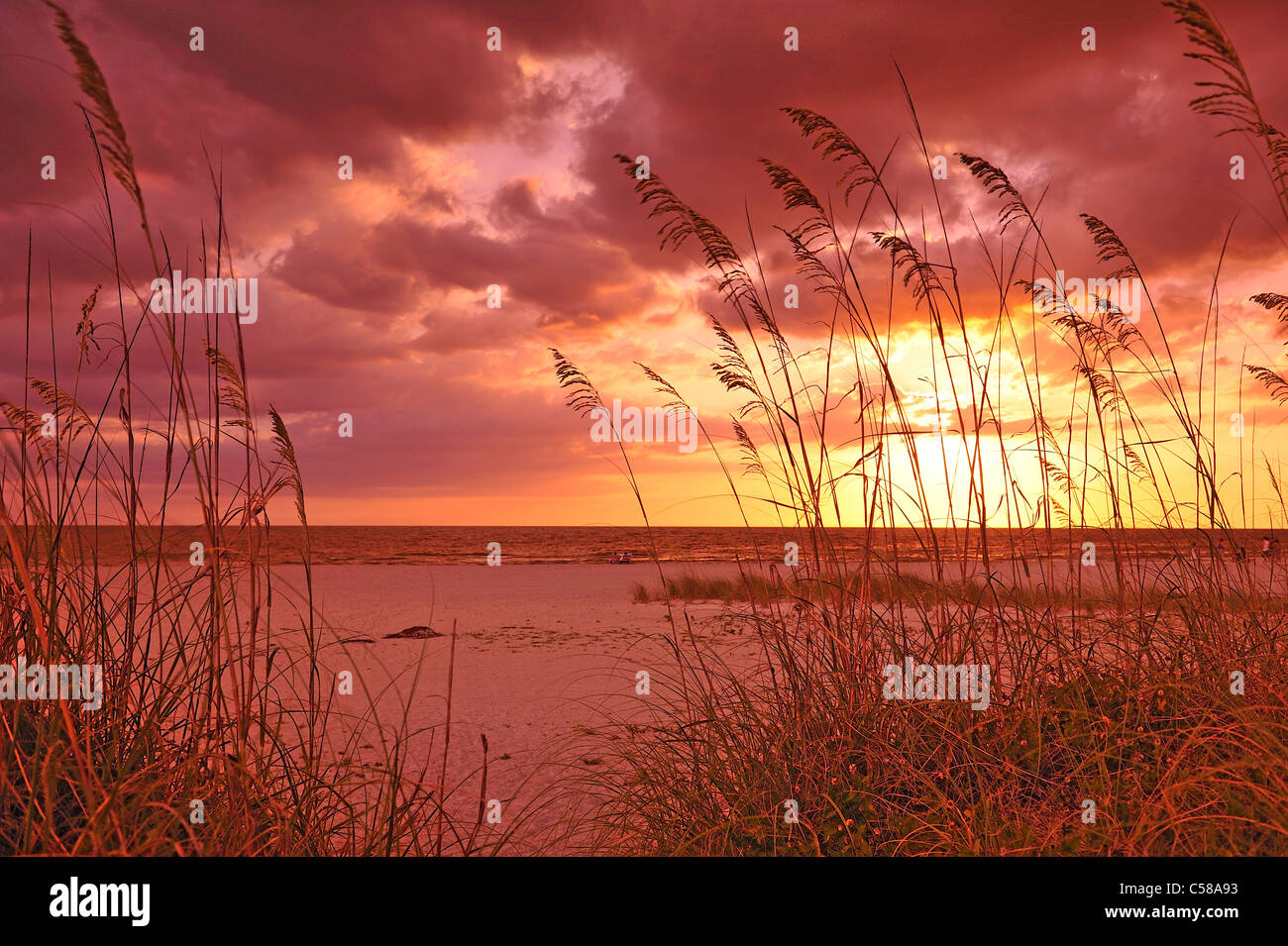 Sunset, Fort De Soto State Park, near St. Petersburg Beach, Gulf, sea, Mexico, Florida, USA, United States, America, red Stock Photo