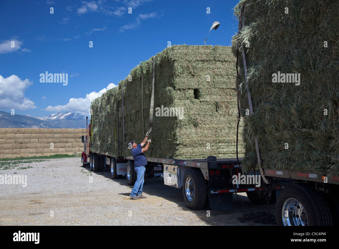 Nevada Cattle Ranch Stock Photo