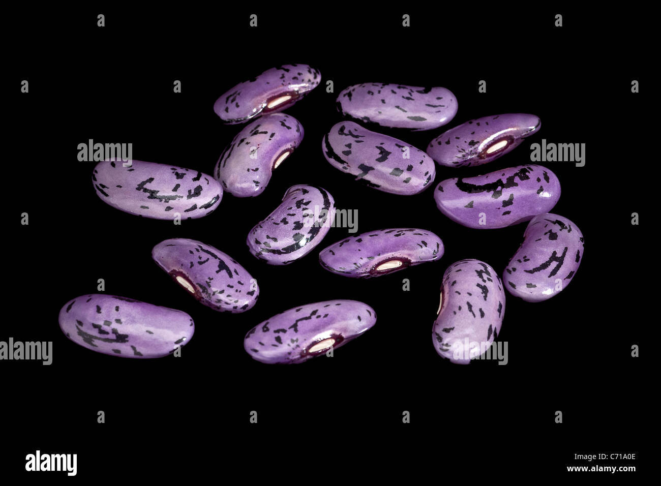 Scarlet runner beans (Phaseolus coccineus), photographed in the studio on a black background (macro / close-up). Stock Photo