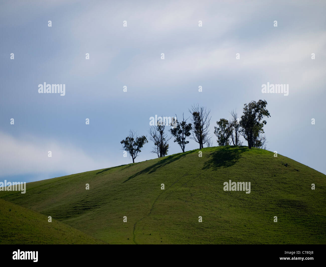 Hills with grass and trees in Atascadero, California, United States Stock Photo