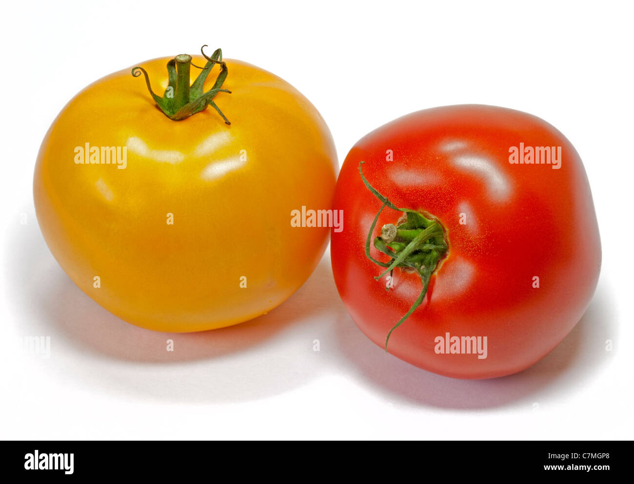 Yellow and Red Beefsteak Tomatoes Stock Photo