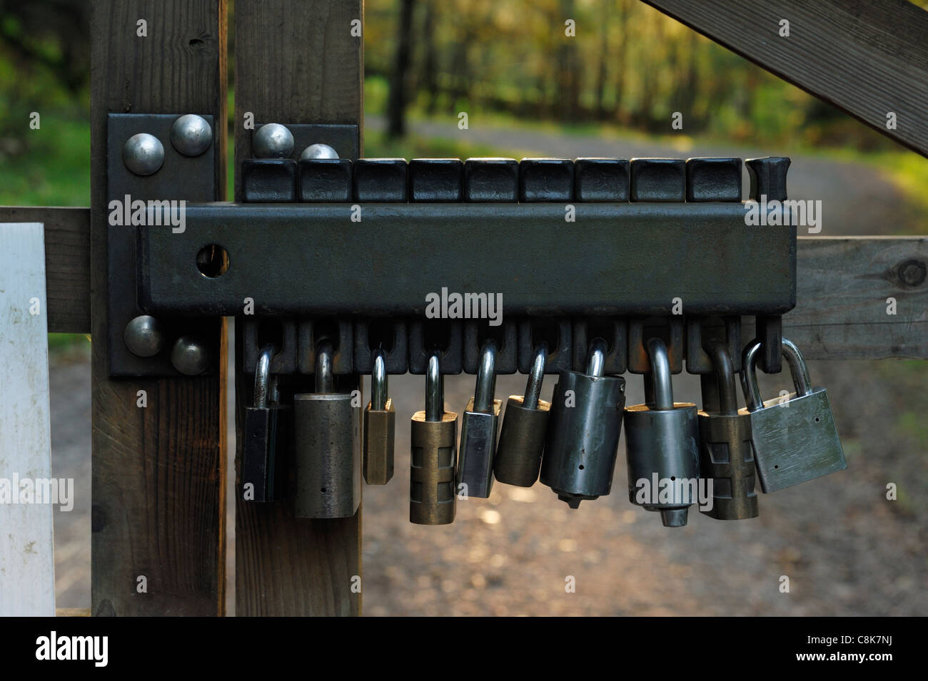 Group lockout padlock concept Stock Photo