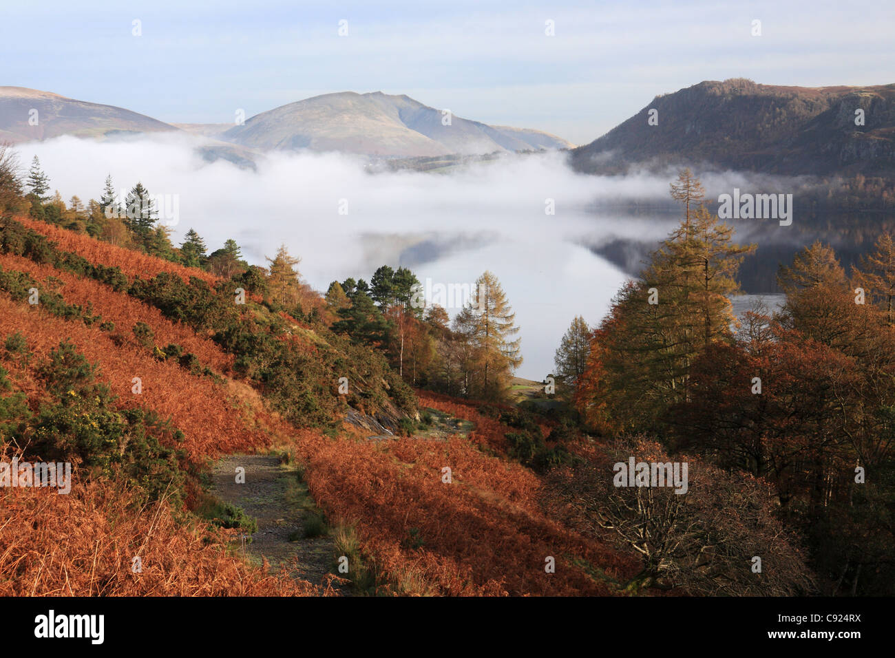 Mist over Derwent water seen from the west bank, near Keswick, north west England, UK Stock Photo