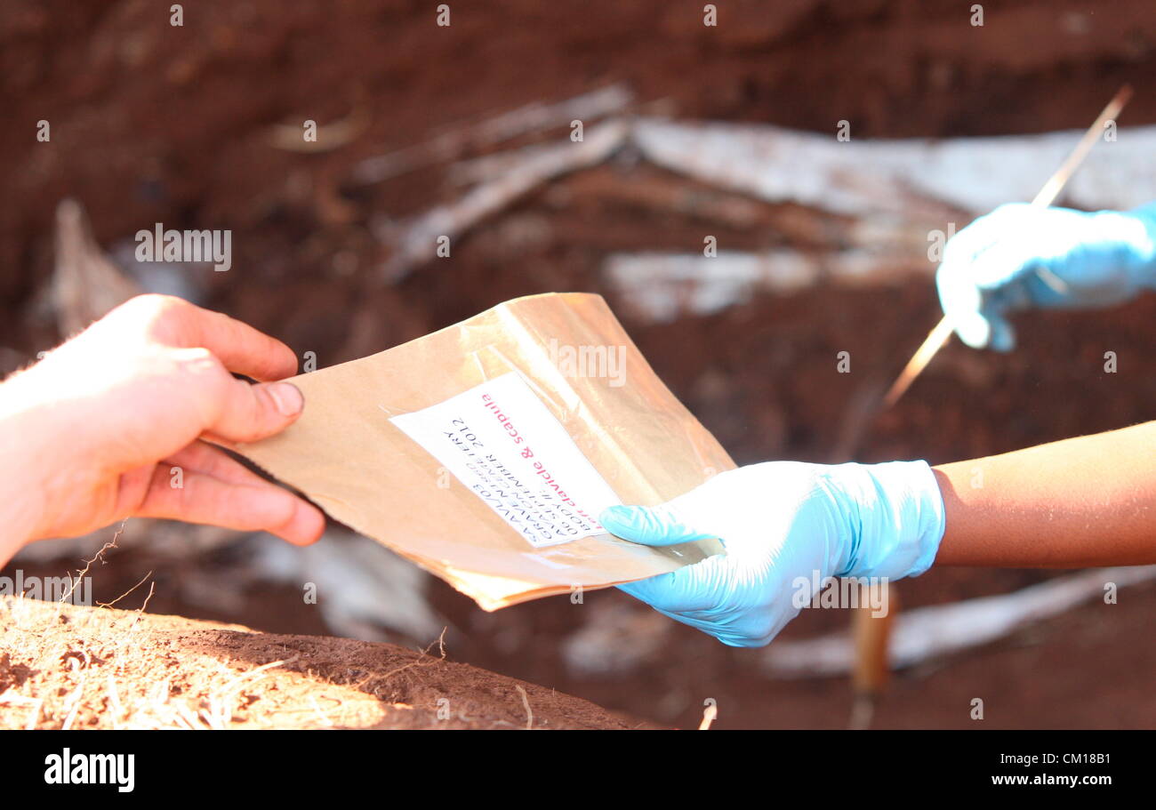 Soweto, South Africa. 11th September 2012. Bones believed to be those of Nceba Sinuma being exhumed on September 11, 2012 at Avalon Cemetery in Soweto, South Africa. Sinuma was one of the “Mofolo 3” who were killed by apartheid agents in a security operation in 1989. The Mofolo 3 were members of the Soweto Youth Congress and were involved in underground uMkhonto weSizwe activities. The body exhumed will be sent for DNA testing. (Photo by Gallo Images / Sowetan / Vathiswa Ruselo/Alamy Live News) Stock Photo