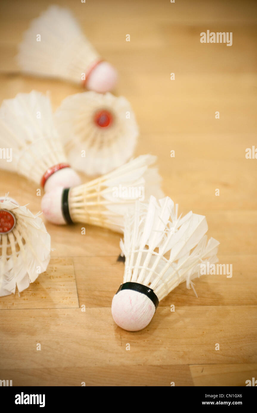 Badminton Shuttlecocks Stock Photo