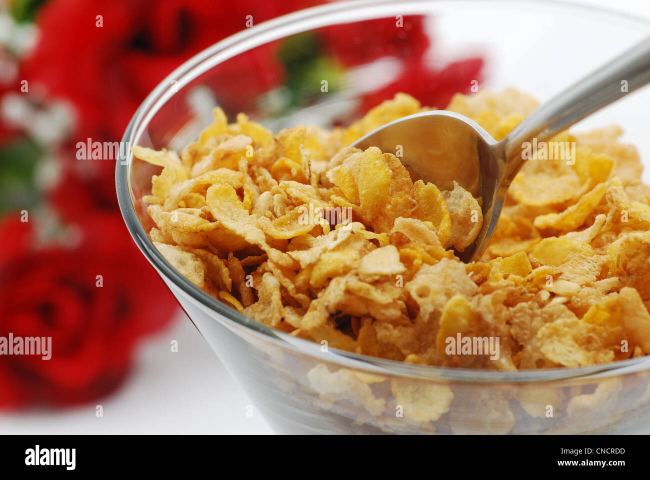 Eating fiber cereal with rose background Stock Photo