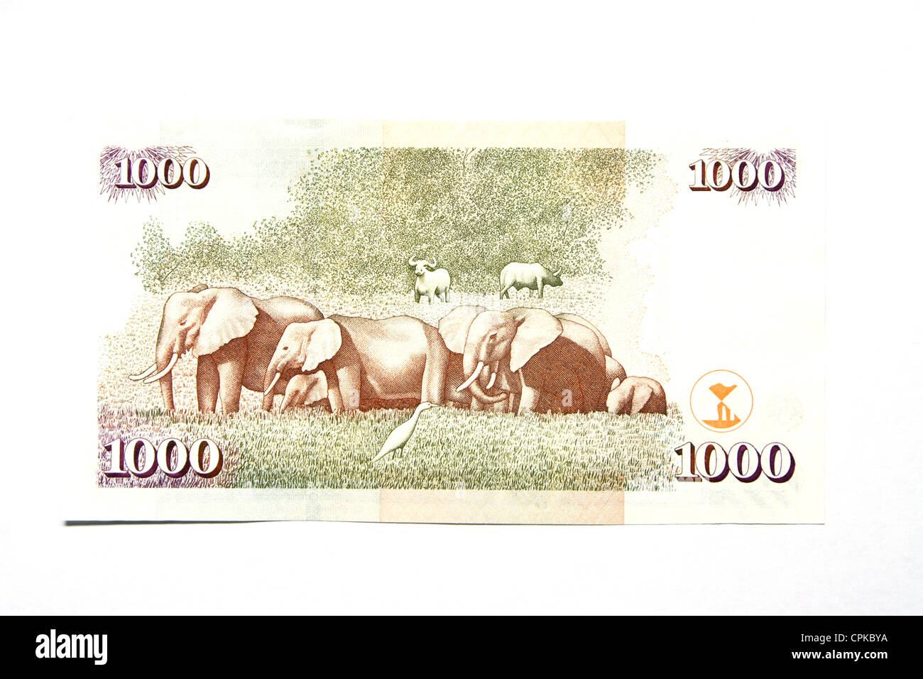 Currency of Kenya (shilling) (reverse side) Stock Photo