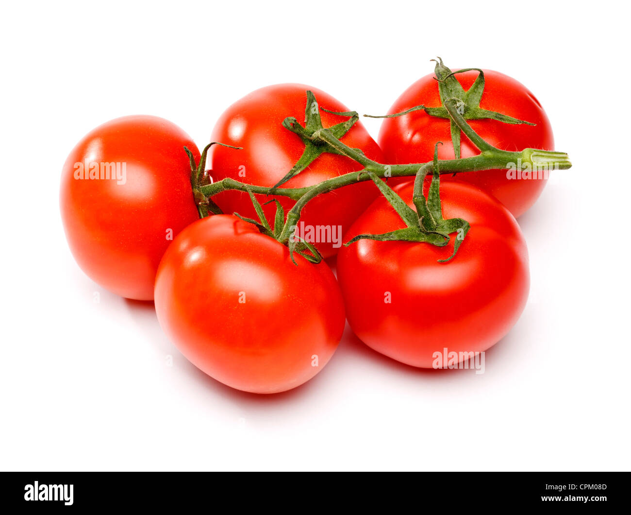 Tomatoes on the vine Stock Photo