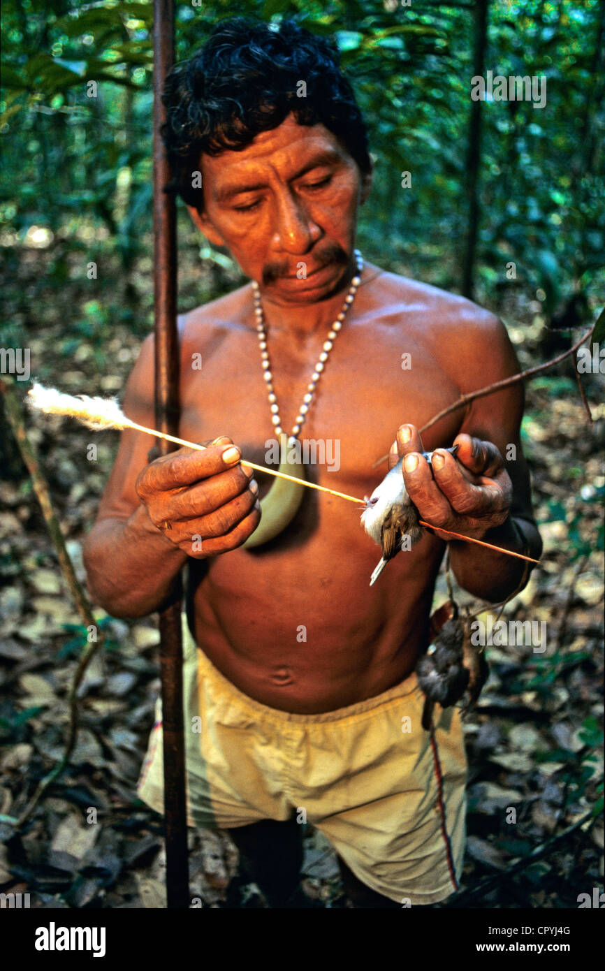 Venezuela, Amazonas State, Rio Sipapo, keeping their culture Piaroas indians hunt with a blowpipe Stock Photo