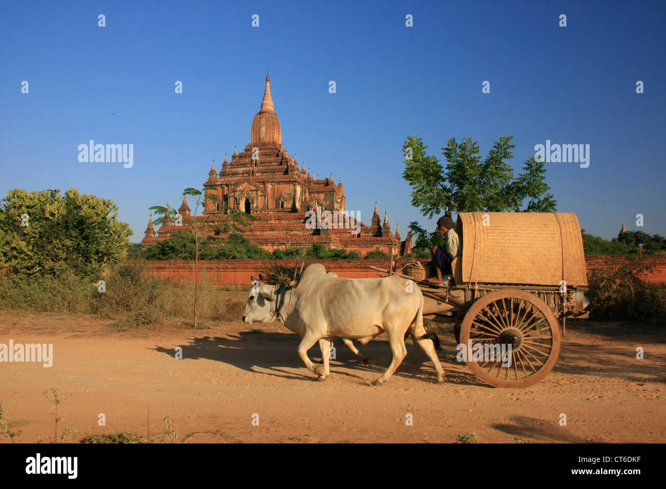 Ox-cart near Sulamani temple, Bagan Archaeological Zone, Mandalay region, Myanmar, Southeast Asia Stock Photo