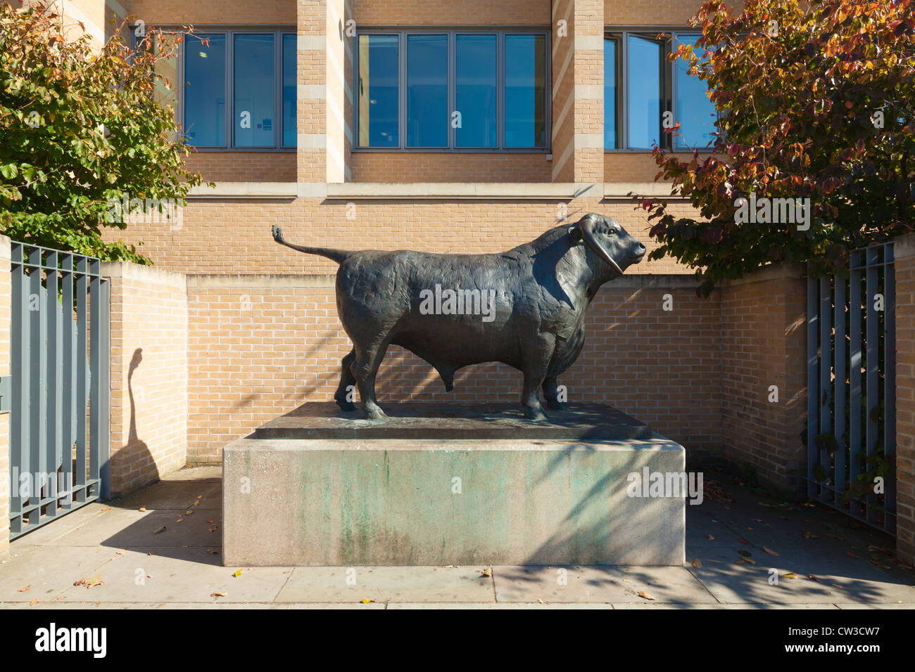 Ox sculpture Oxford Symbol Stock Photo