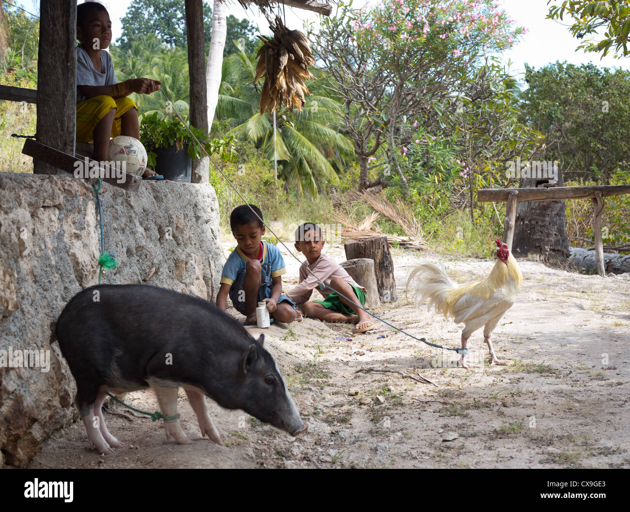 Young boys sitting outside a traditional house, Baucau, East Timor Stock Photo