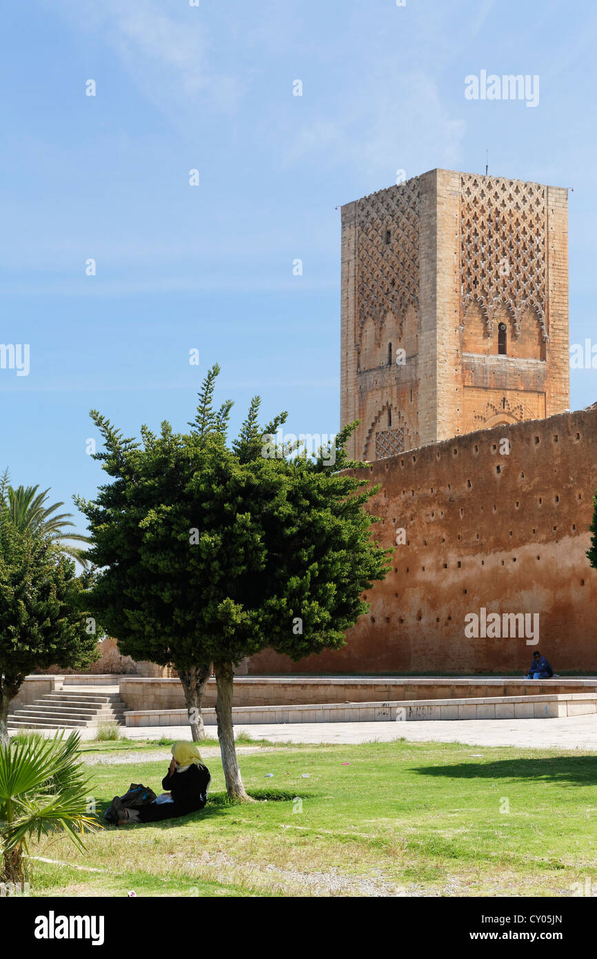 Hassan Tower in Rabat, Rabat-Salé-Zemmour-Zaer, Morocco, Maghreb, Africa Stock Photo