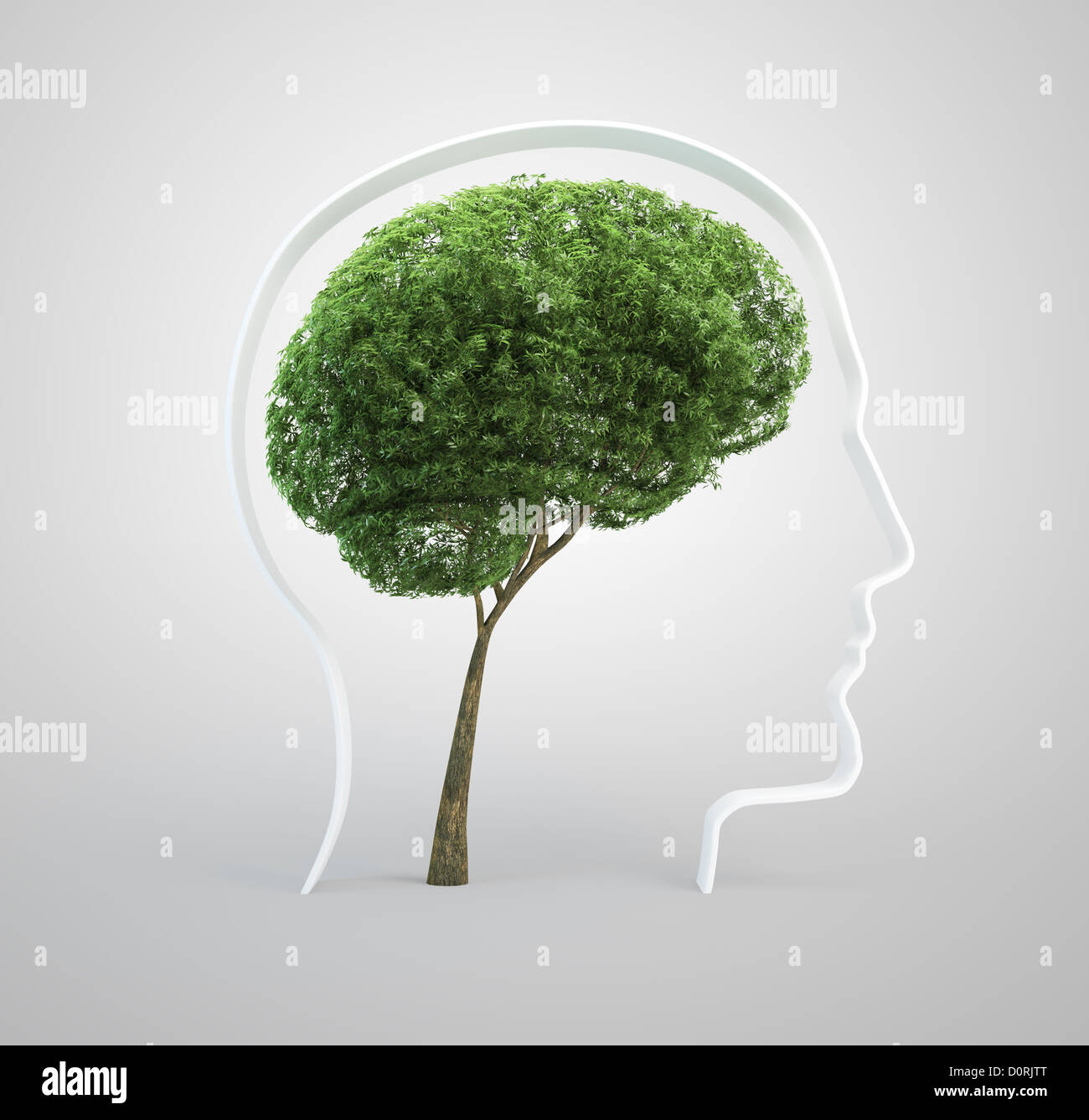 Brain tree - human head Stock Photo