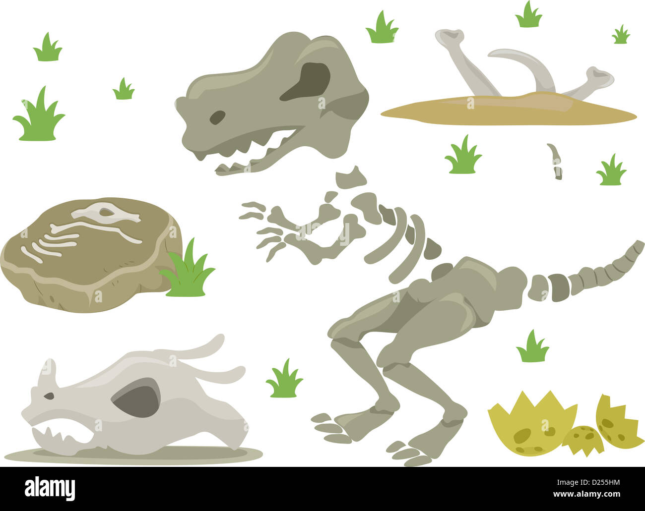 Illustration of Different Kinds of Dinosaur Bones with Grasses Stock Photo