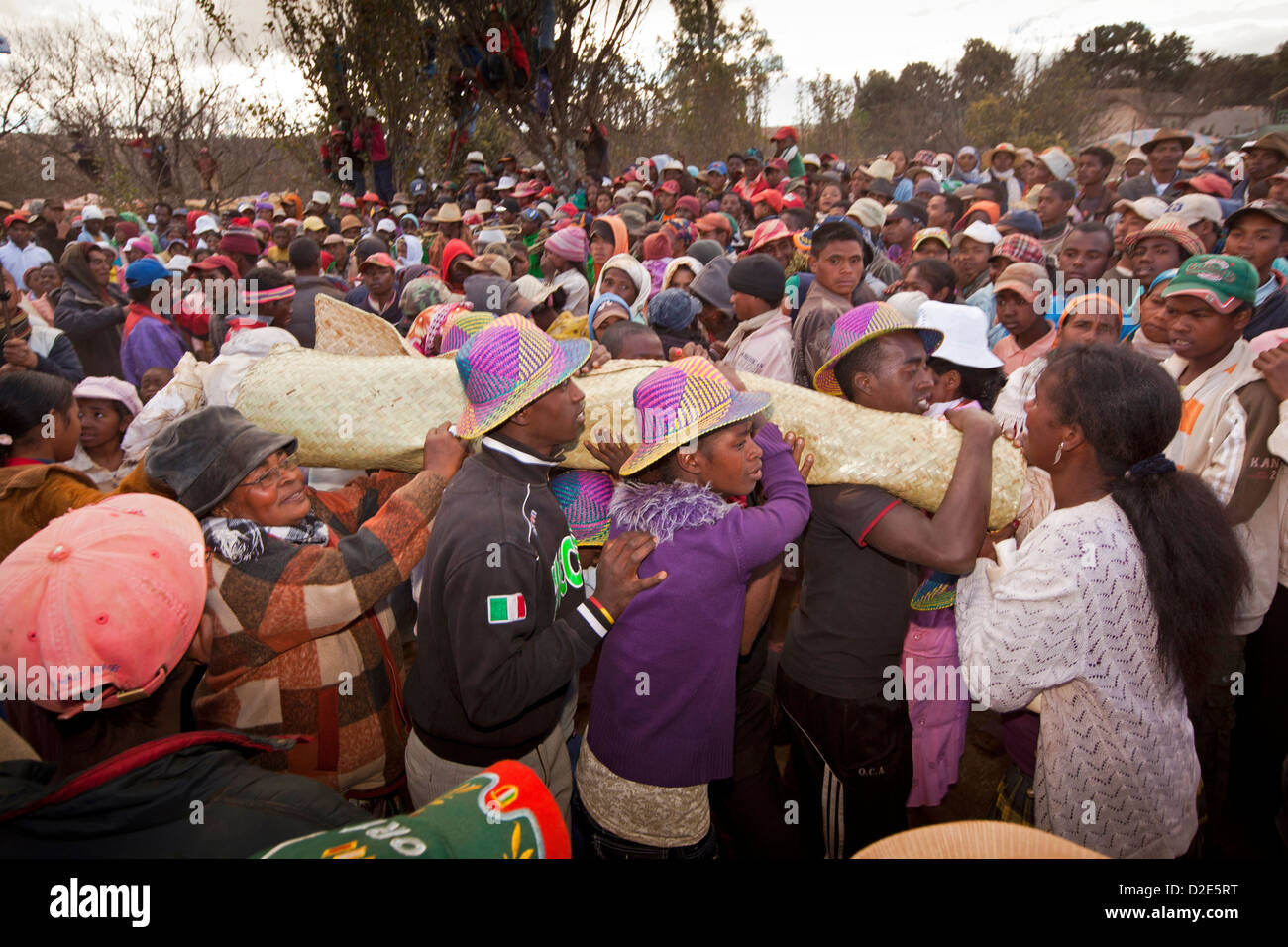 Madagascar, Betsileo famadihana ceremony, ‘turning of the bones’ family carrying body Stock Photo