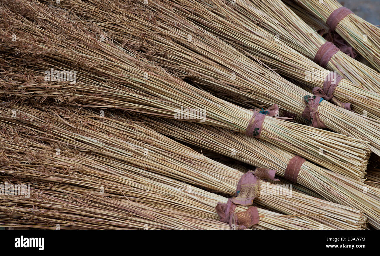 Indian Grass reed brushes. Traditional indian sweeping brush made for selling in a rural indian village. Andhra Pradesh, India Stock Photo