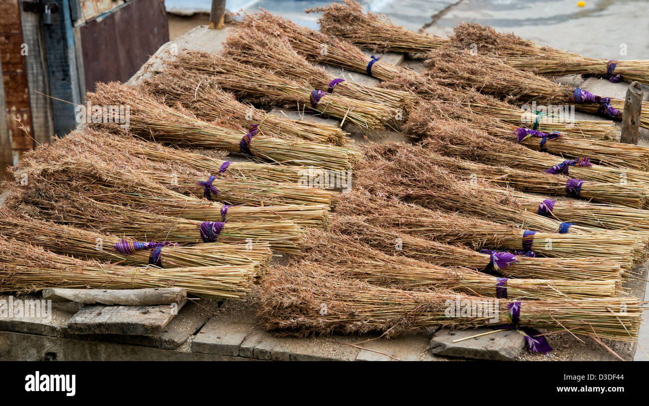 Indian Grass reed brushes on the back of a bullock cart in a rural indian village. Traditional indian sweeping brush. Andhra Pradesh, India Stock Photo