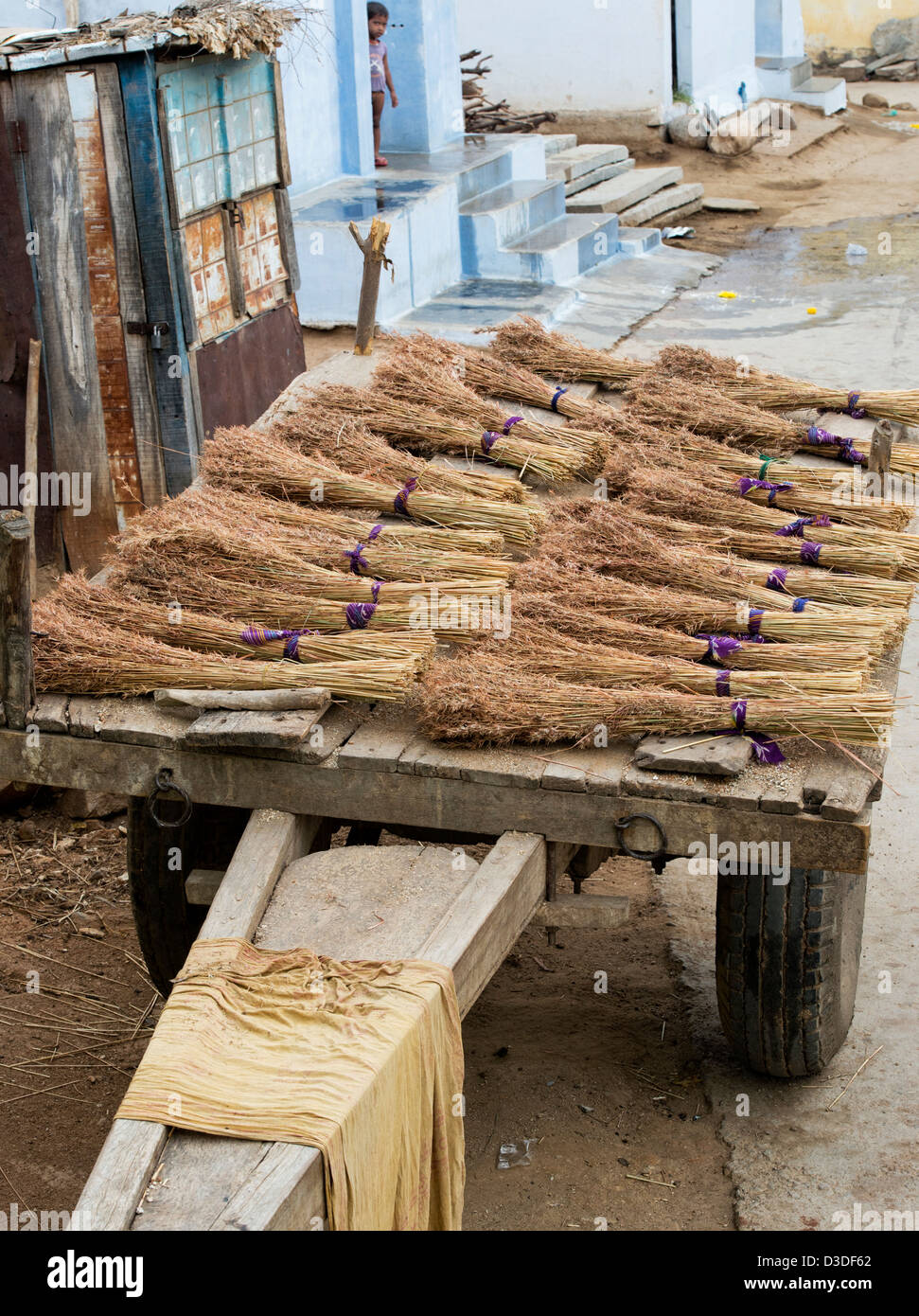 Indian Grass reed brushes on the back of a bullock cart in a rural indian village. Traditional indian sweeping brush. Andhra Pradesh, India Stock Photo