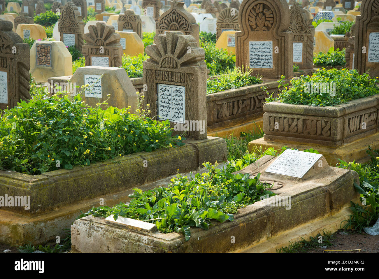 Graves in the cemetery, Sale, Rabat, Morocco Stock Photo