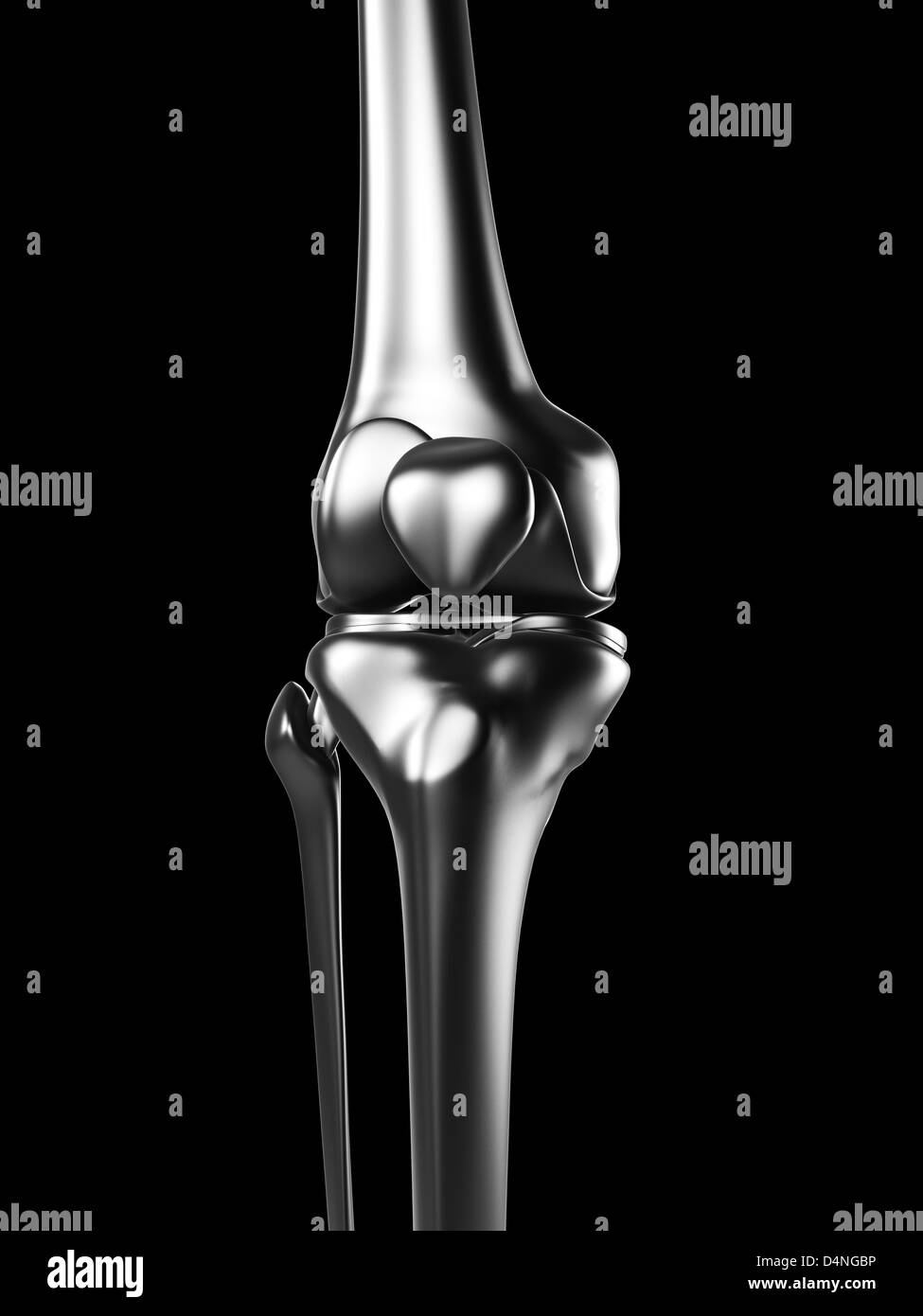 Metal knee Stock Photo